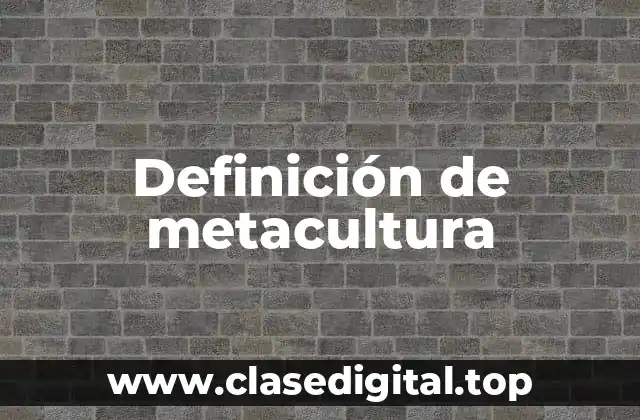 Definición de metacultura