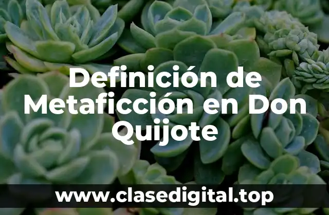 Definición de Metaficción en Don Quijote