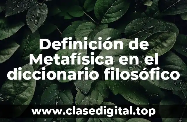 Definición técnica de Metafísica