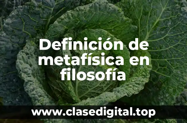 Definición de metafísica en filosofía