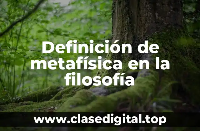 Definición de metafísica en la filosofía