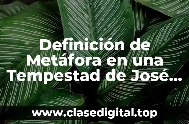 Ejemplos de Metáfora