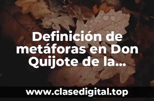 Definición de metáforas en Don Quijote de la Mancha
