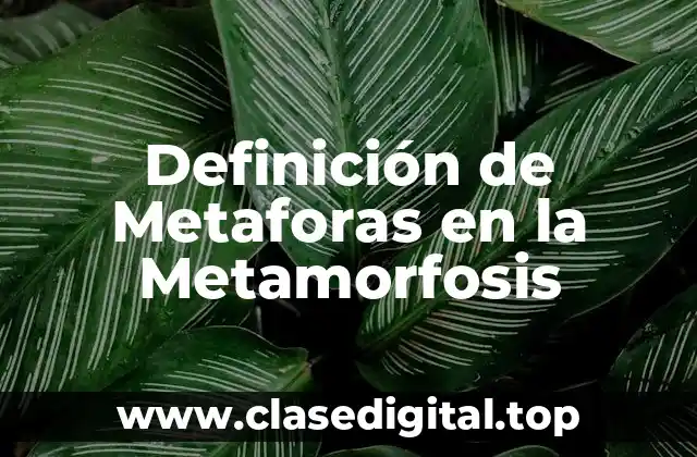 Definición de Metaforas en la Metamorfosis