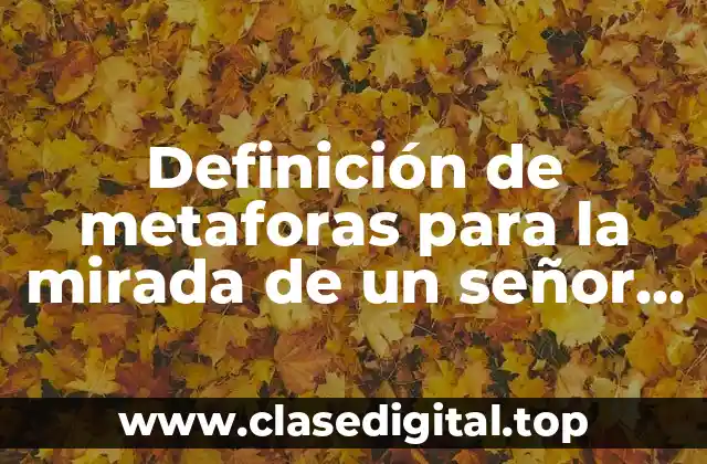 Definición de metaforas para la mirada de un señor misterioso