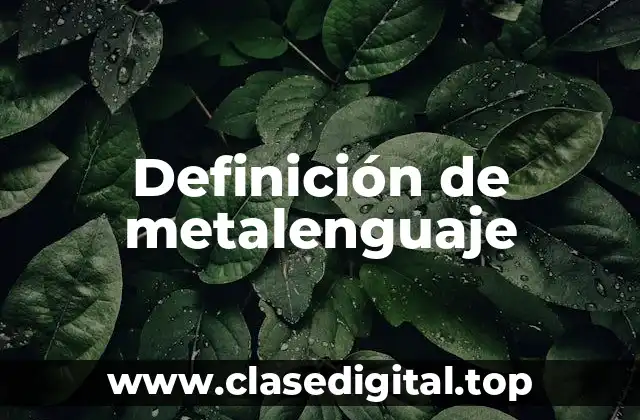 Definición de metalenguaje