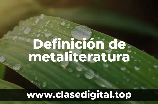 Definición de metaliteratura