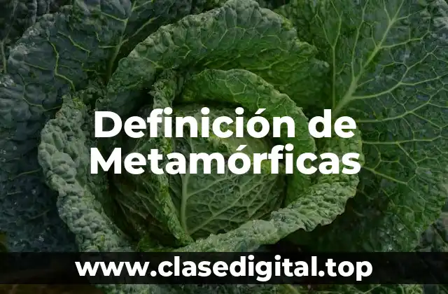 Definición de Metamórficas