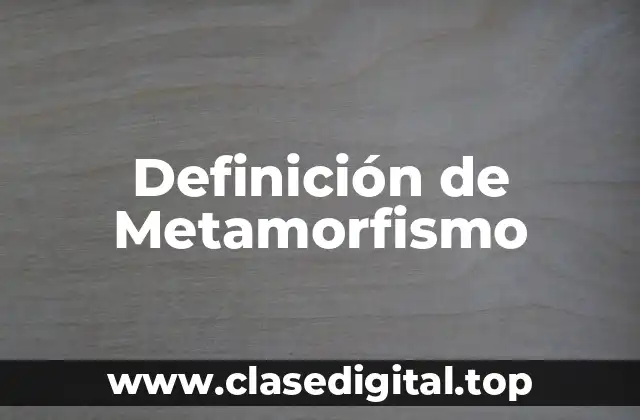 Definición de Metamorfismo