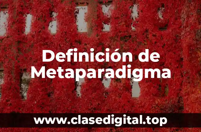 Definición técnica de Metaparadigma
