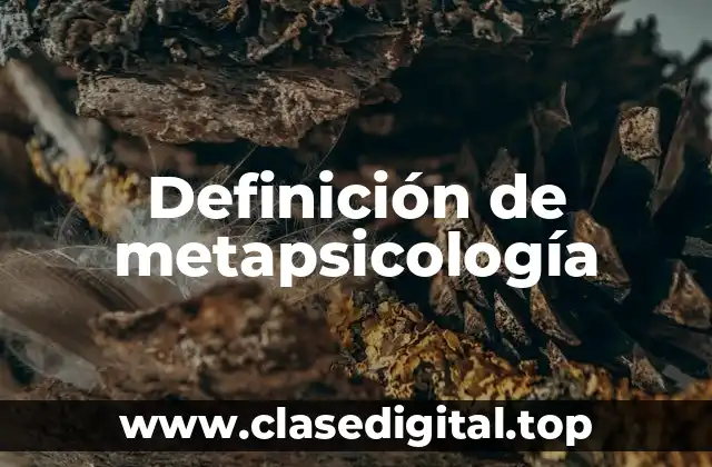 Ejemplos de metapsicología