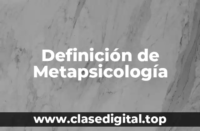 Definición técnica de Metapsicología