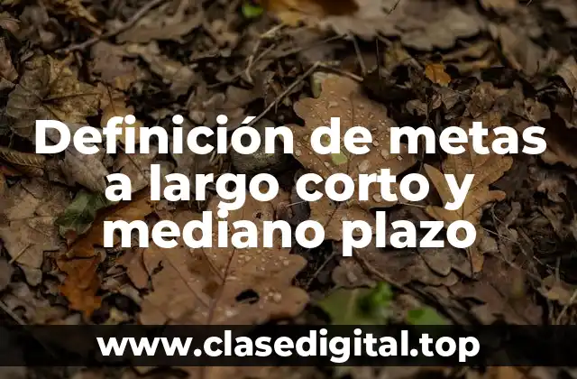 Definición de metas a largo corto y mediano plazo