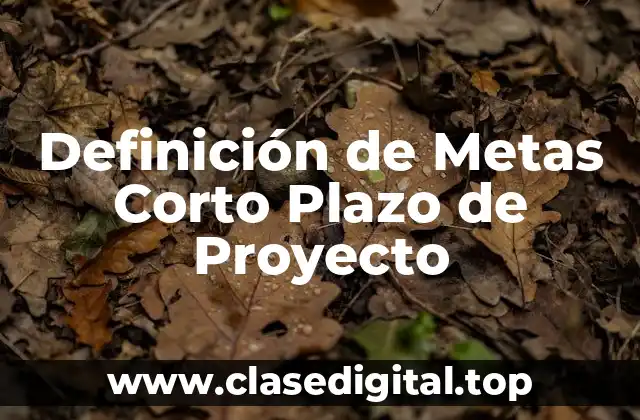 Definición técnica de meta corto plazo de proyecto