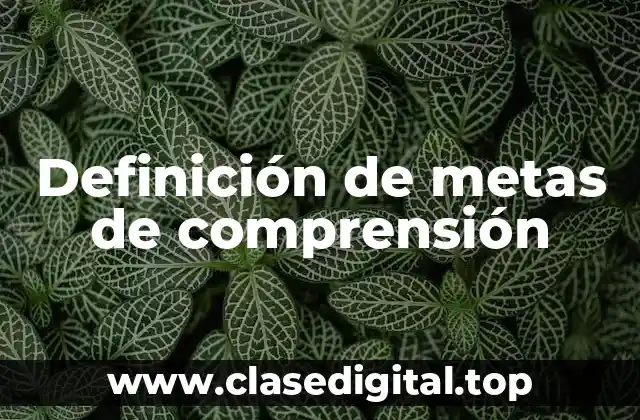 Definición de metas de comprensión
