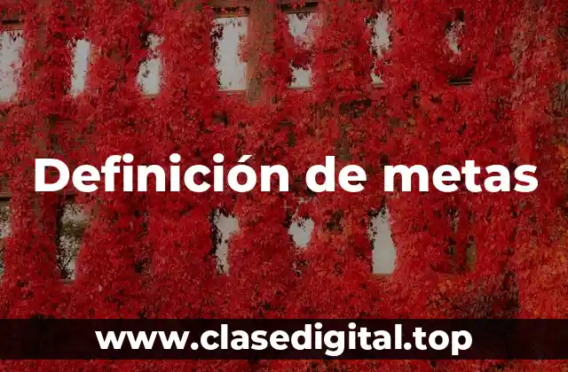 Definición de metas