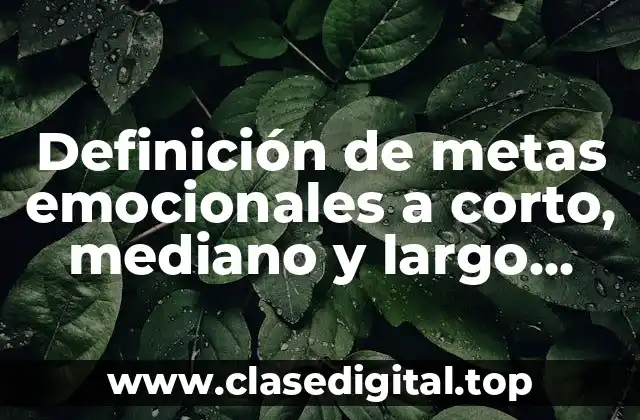 Definición de metas emocionales a corto, mediano y largo plazo