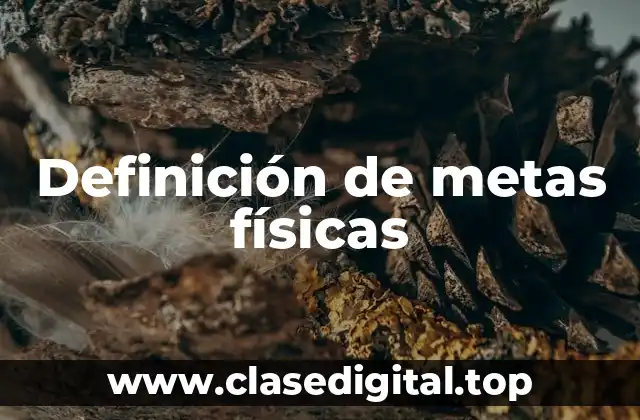 Definición de metas físicas