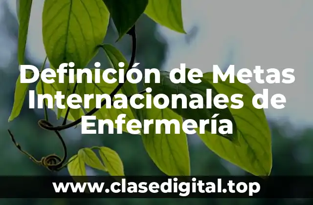 Definición técnica de Metas Internacionales de Enfermería
