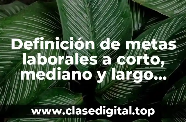 Definición de metas laborales a corto, mediano y largo plazo