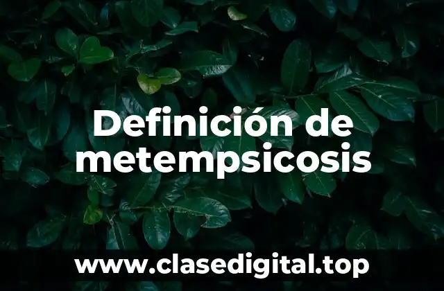 Definición de metempsicosis