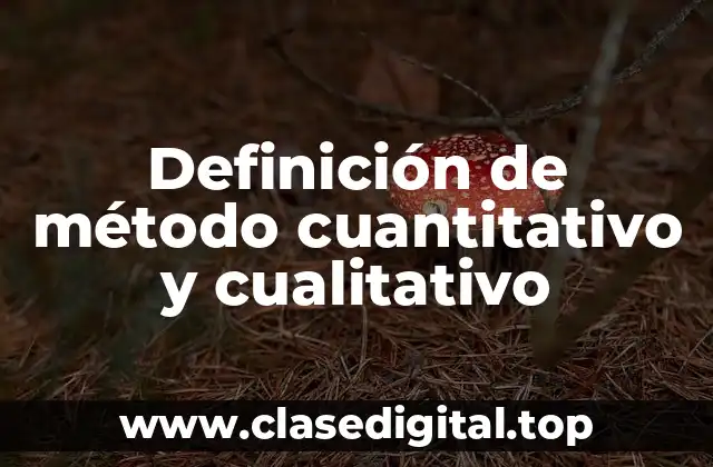 Definición técnica de método cuantitativo