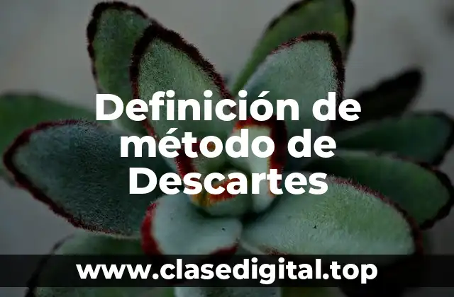 Definición de método de Descartes