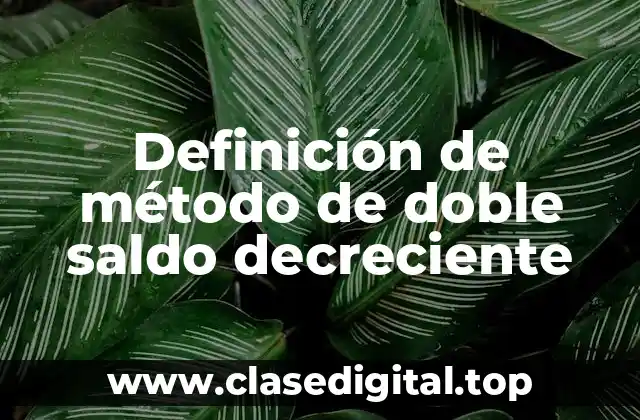 Definición técnica de método de doble saldo decreciente