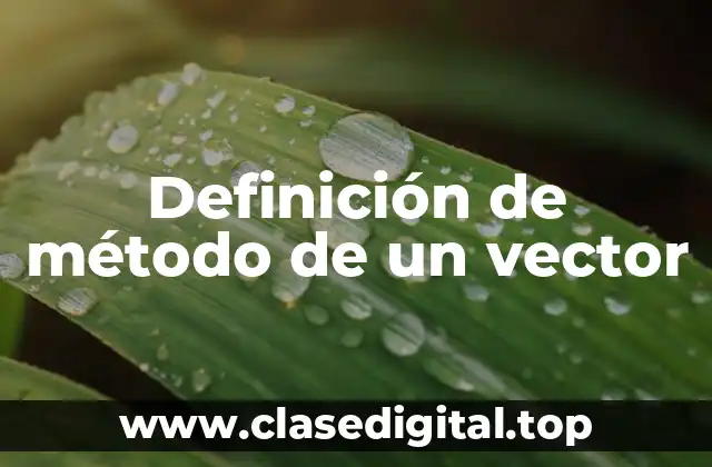 Definición de método de un vector