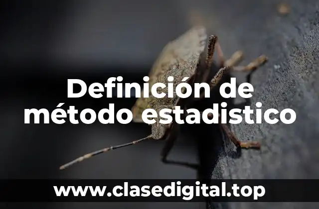 Definición de método estadistico