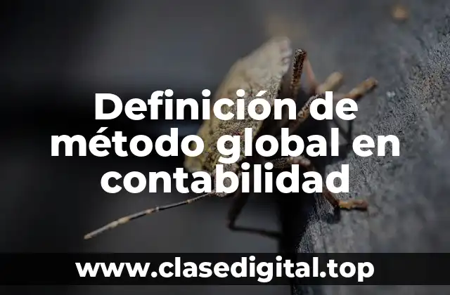 Definición de método global en contabilidad