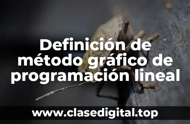 Definición de método gráfico de programación lineal