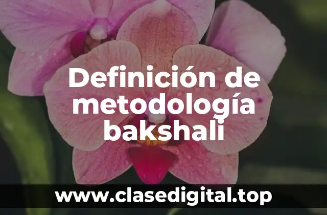 Definición de metodología bakshali