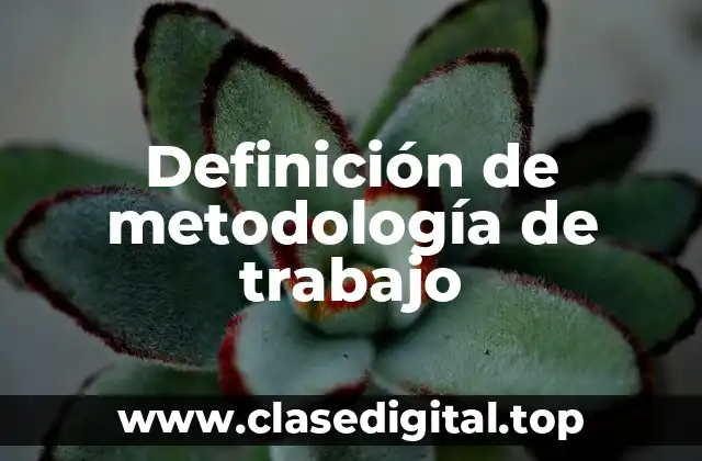 Ejemplos de metodología de trabajo