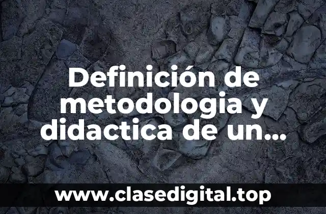 Ejemplos de metodologia y didactica de un programa de capacitación
