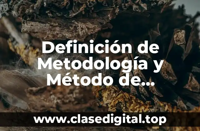 Definición de Metodología y Método de Investigación