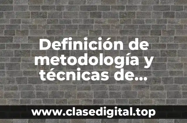 Definición de metodología y técnicas de investigación