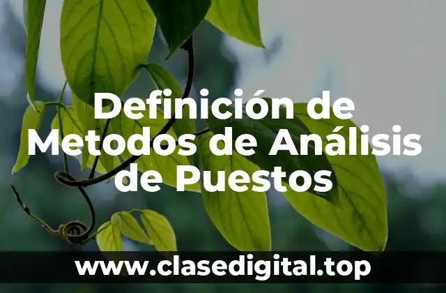 Definición de Metodos de Análisis de Puestos