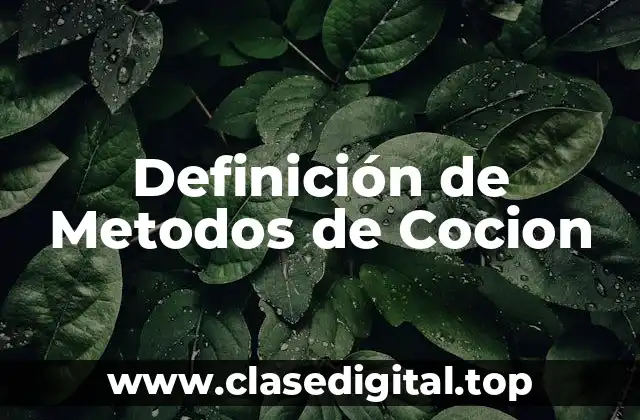 Definición de Metodos de Cocion