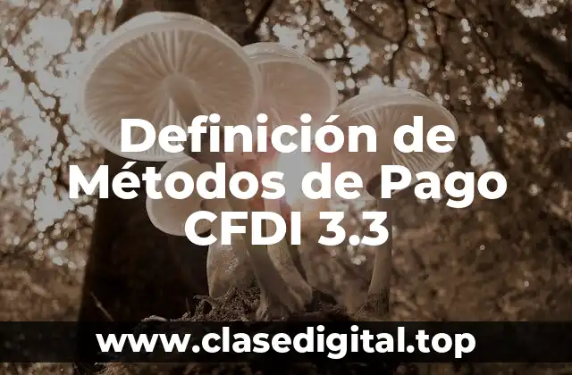 Definición de Métodos de Pago CFDI 3.3