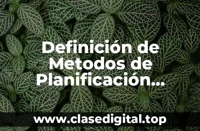 Definición de Metodos de Planificación Familiar