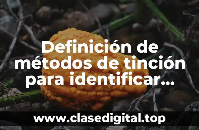 Definición de métodos de tinción para identificar hongos y levaduras