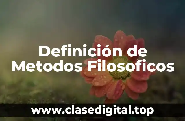 Definición técnica de método filosófico