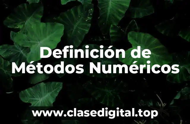 Definición técnica de método numérico