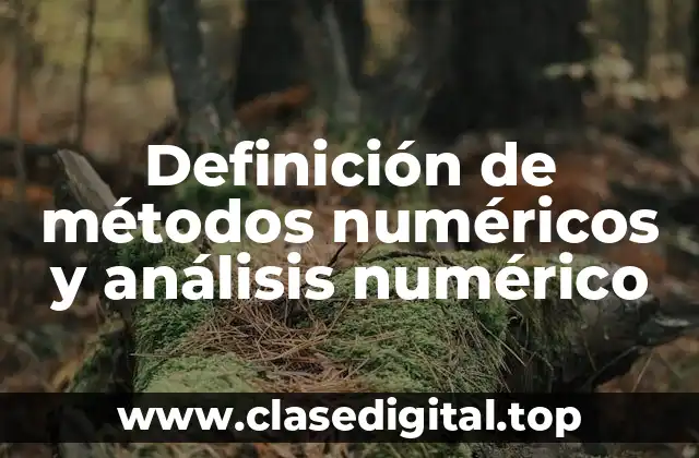 Definición de métodos numéricos y análisis numérico