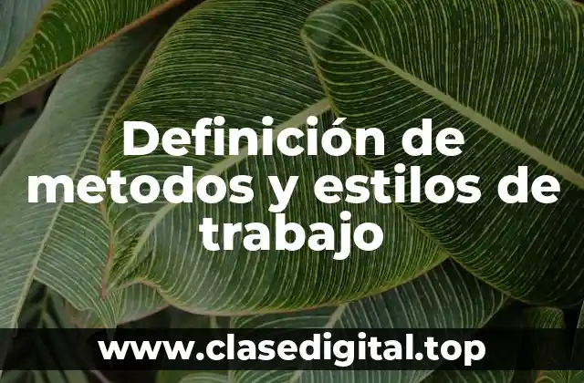 Definición de metodos y estilos de trabajo