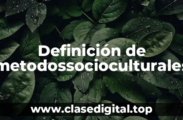 Ejemplos de metodología sociocultural