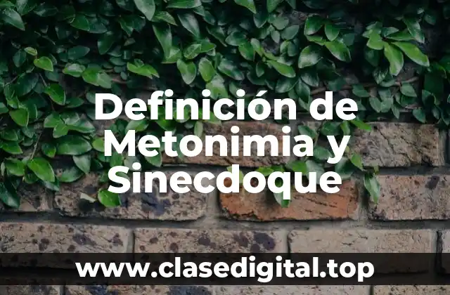 Definición de Metonimia y Sinecdoque
