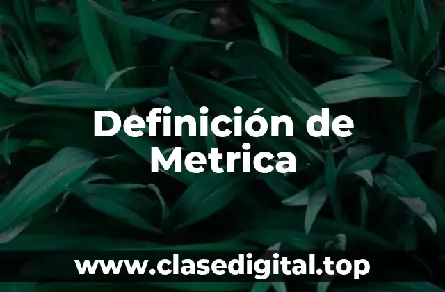 Definición de Metrica