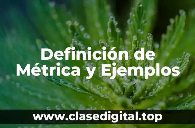 Definición de Métrica y Ejemplos